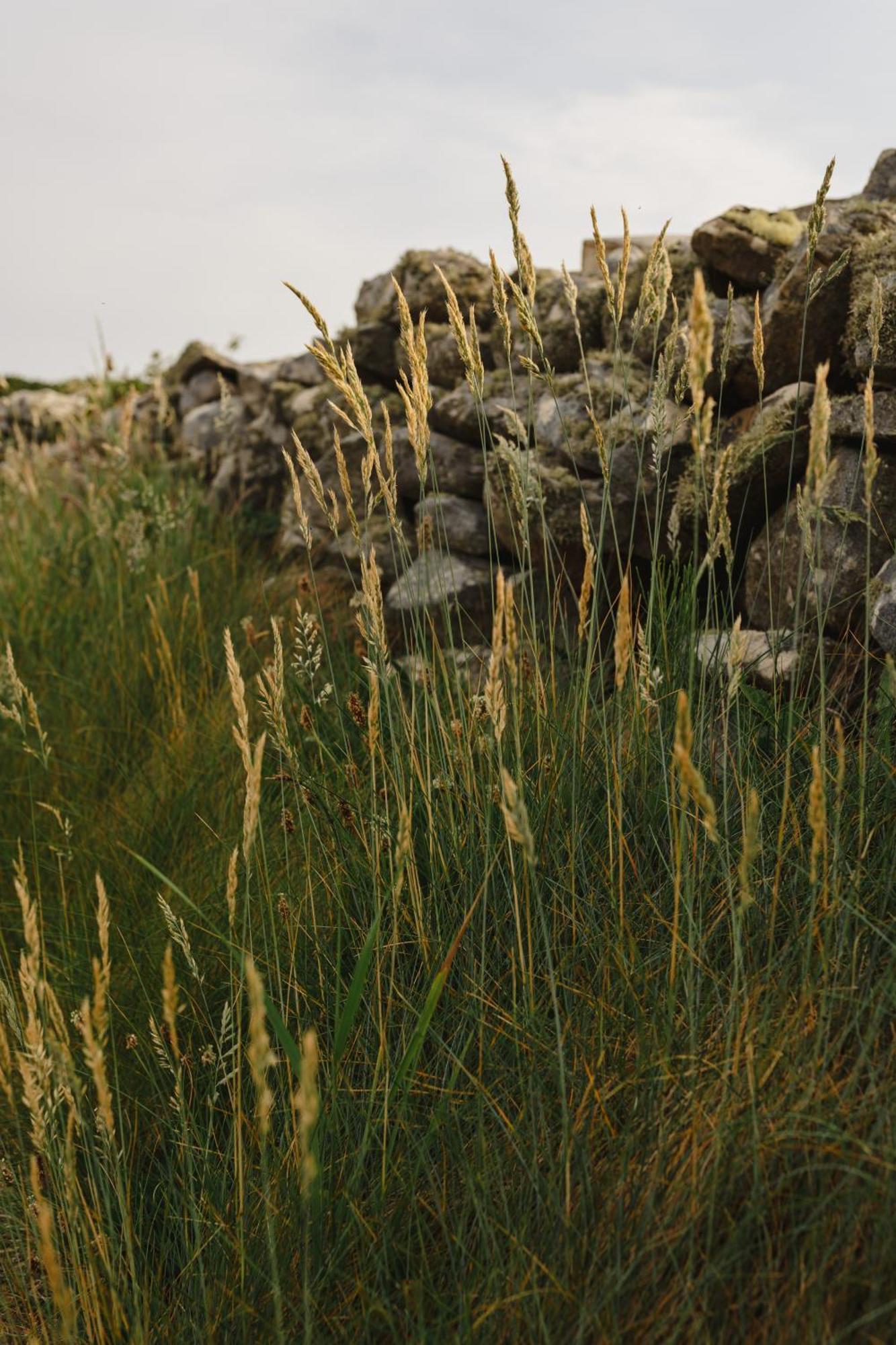 Creevy Cottages Rossnowlagh Εξωτερικό φωτογραφία