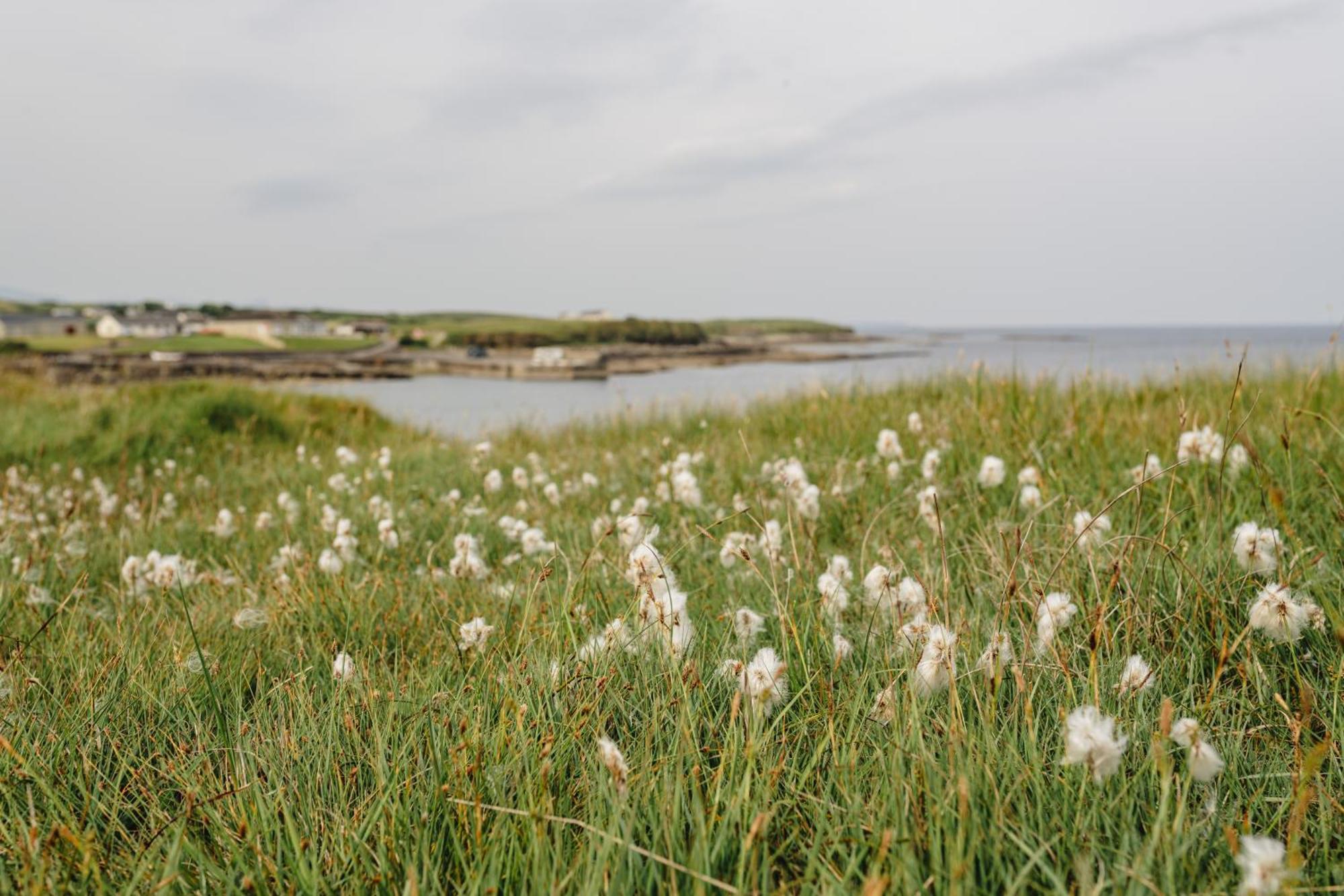 Creevy Cottages Rossnowlagh Εξωτερικό φωτογραφία