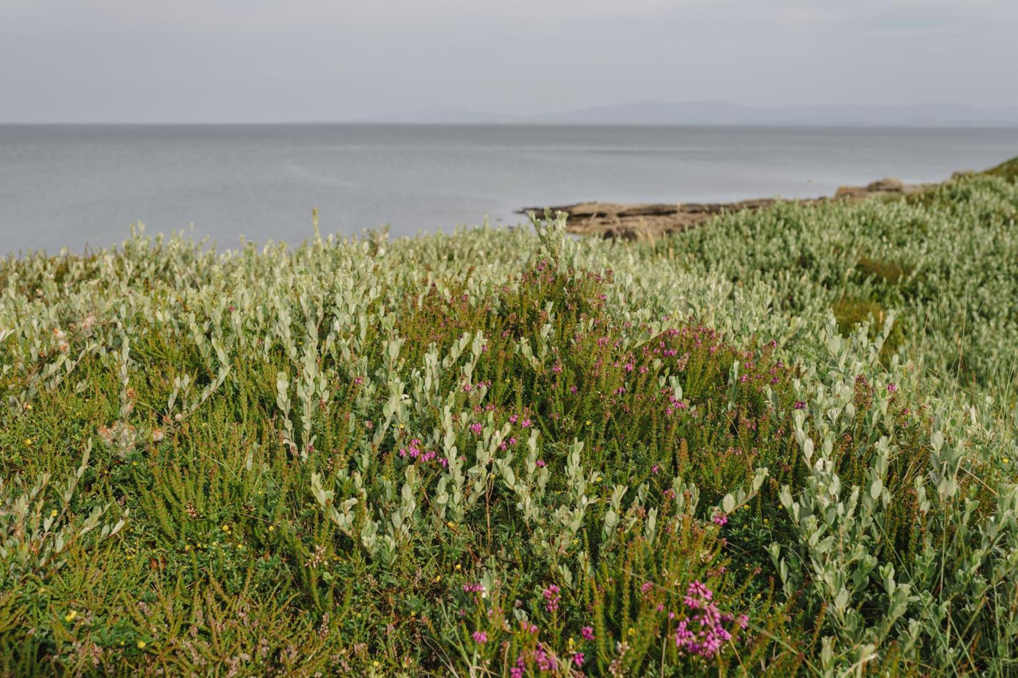 Creevy Cottages Rossnowlagh Εξωτερικό φωτογραφία