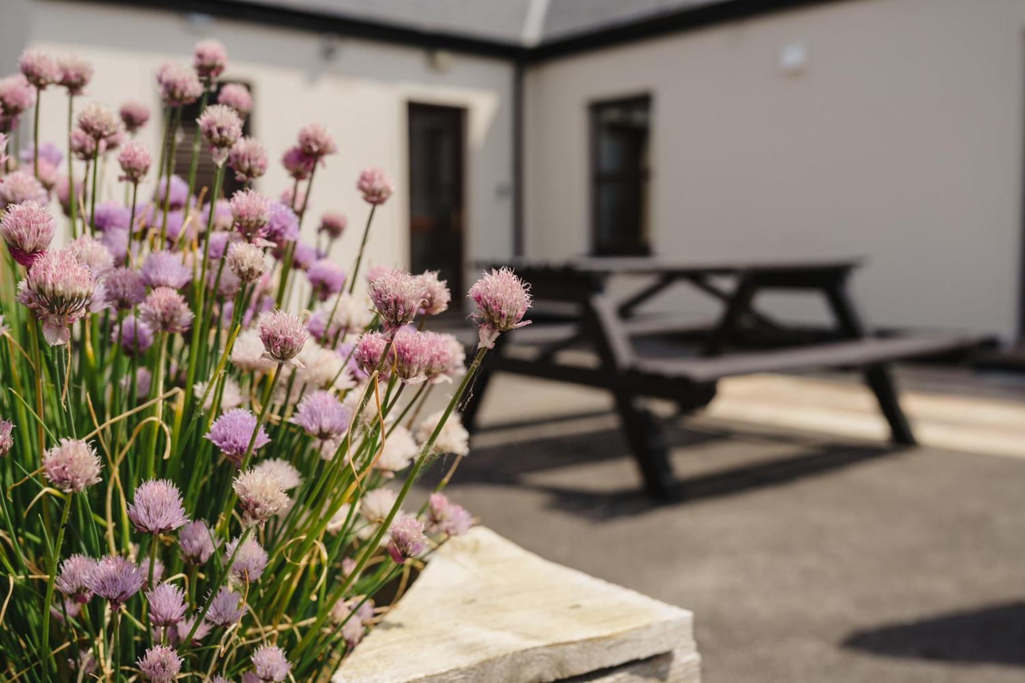 Creevy Cottages Rossnowlagh Εξωτερικό φωτογραφία